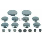 Engine Expansion Plug Kit