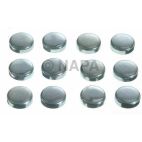 Engine Expansion Plug Kit