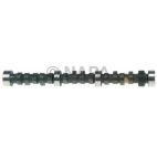 Engine Camshaft