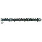 Engine Camshaft