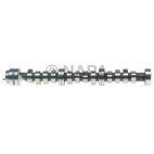 Engine Camshaft