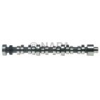 Engine Camshaft