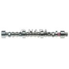 Engine Camshaft