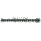 Engine Camshaft