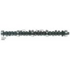 Engine Camshaft