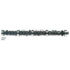 Engine Camshaft