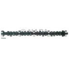 Engine Camshaft