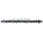 Engine Camshaft