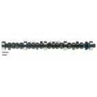 Engine Camshaft