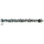 Engine Camshaft