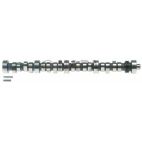 Engine Camshaft