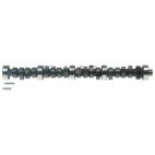 Engine Camshaft