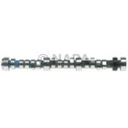Engine Camshaft