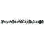 Engine Camshaft