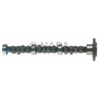 Engine Camshaft