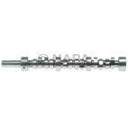 Engine Camshaft