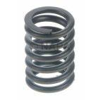 Engine Valve Spring