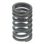 Engine Valve Spring