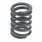Engine Valve Spring