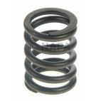 Engine Valve Spring