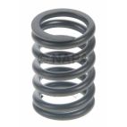 Engine Valve Spring