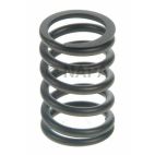 Engine Valve Spring