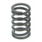 Engine Valve Spring