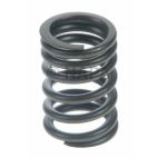 Engine Valve Spring