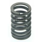 Engine Valve Spring