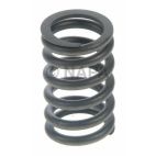 Engine Valve Spring