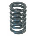 Engine Valve Spring