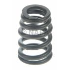 Engine Valve Spring