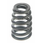 Engine Valve Spring
