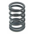 Engine Valve Spring