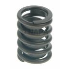 Engine Valve Spring