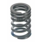 Engine Valve Spring