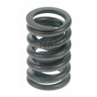 Engine Valve Spring