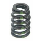 Engine Valve Spring