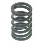 Engine Valve Spring