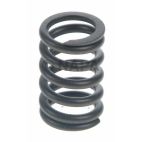 Engine Valve Spring
