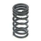 Engine Valve Spring
