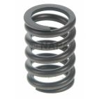 Engine Valve Spring