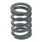 Engine Valve Spring
