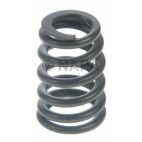 Engine Valve Spring