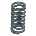 Engine Valve Spring