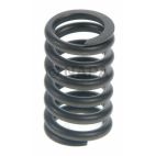 Engine Valve Spring