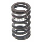 Engine Valve Spring