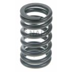 Engine Valve Spring