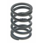 Engine Valve Spring