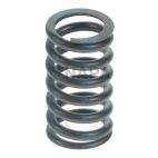 Engine Valve Spring